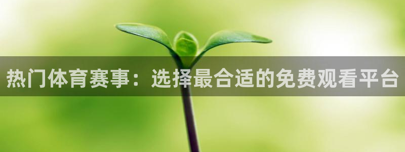 热门体育赛事：选择最合适的免费观看平台
